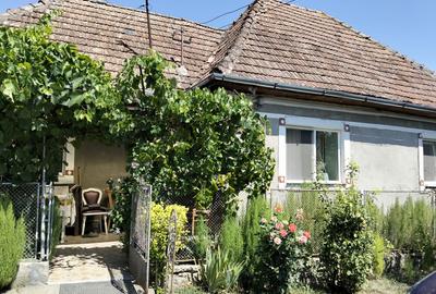Casă individuală cu 2 camere în Borșa