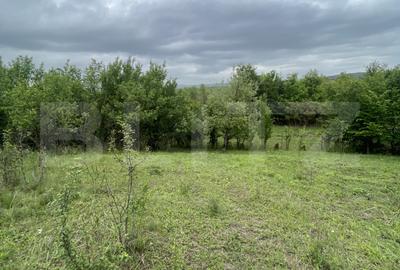 Teren agricol extravilan de 5200 mp, în Exterior Vest