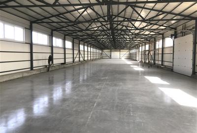 Hală 984 mp Iris – Calea Muncii | 3 porți TIR | Depozit/Producție - 3