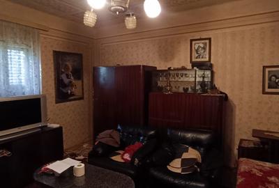 🏡  Teren generos cu Casă de Poveste în Șiria, Arad- Locație Rară - 9