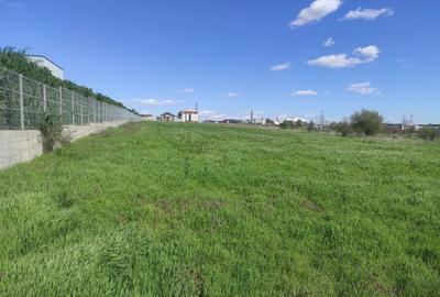 Teren agricol, în Nord