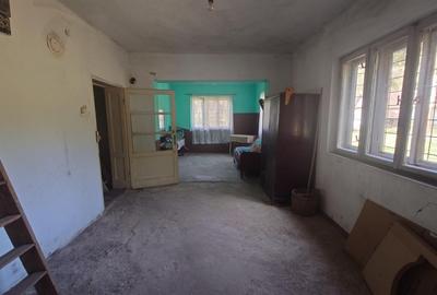 Teren, padure si casa in Dumbrava de Jos, jud. Hunedoara - 10