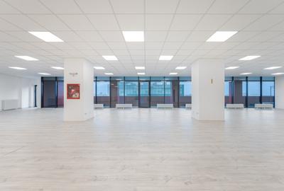 Spațiu comercial, de 305.00 mp, în Baicului