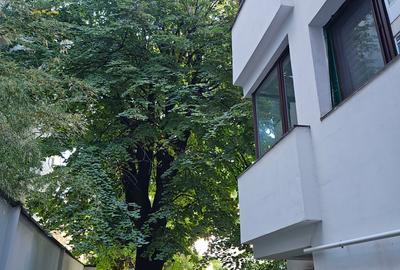 Stirbei Voda Cismigiu Ostasilor - S+P+2+M teren 595 mp, singur curte, 1900000 € - 20