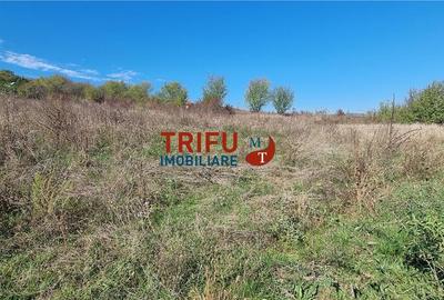 Teren agricol intravilan de 1400 mp, în Ampoi 1
