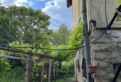 Casa individuala retrasa, Andrei Muresanu - 10