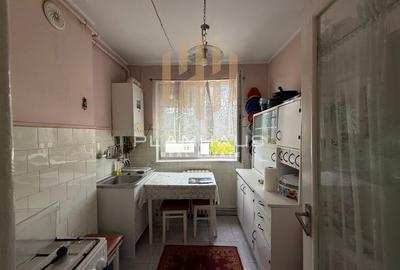 Apartament 2 camere , ultracentral , zona Bizo - 5