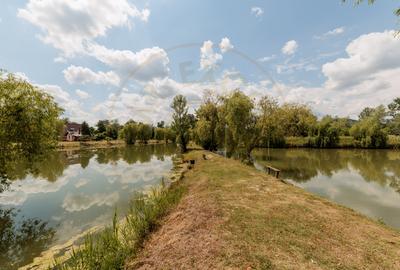 Afacere la cheie - domeniu cu lacuri de pescuit  - Sat Bunești, Com. Malureni - 12