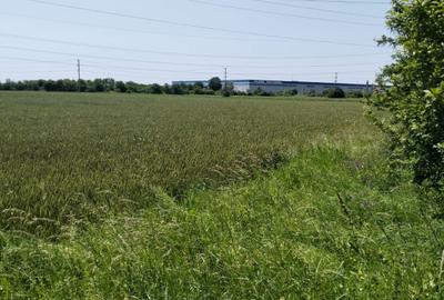 Teren de vânzare 7.360 mp  Oarja, Pasarela A1 Pret  25 760 euro 3,5 €/mp! - 1