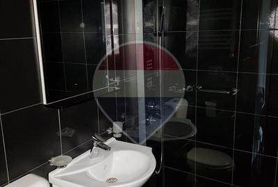 Inchiriere Apartament cu 2 camere în zona P-ta Victoriei - 6