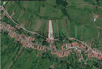 Teren 4.000 mp | Front Generos 47 ml | Utilități | La Asfalt | Cricău - 3
