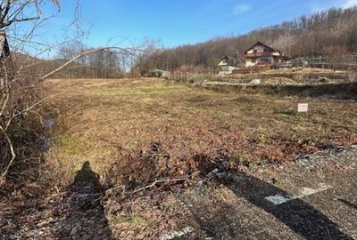 TAUTII MAGHERAUS strada 74 teren intravilan de aprox 36ari ! - 3