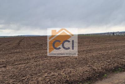 Teren 10,000mp Bacau / Strada Alexandru Safran - 4