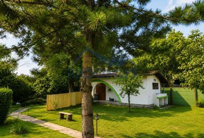 Proprietate Premium | 2 Case | Piscină | Teren 2.000 mp | Mobilată - 27