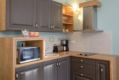 Apartament de inchiriat cu o camera de lux in centrul Sibiului - 2