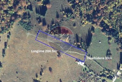 Teren 7.885 mp în Durău – poziție premium, belvedere 360° - 6