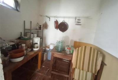 2 Apartamente la casa pivnita garaj in Cisnadie - 16