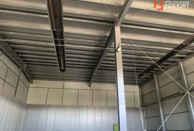 Hala industriala 380 mp + 40 mp de birou, zona - Calea Sagului - 7