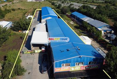 Vanzare 2 Hale 2515 mp + teren 6200 mp Magurele - 3