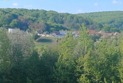 Teren extravilan Bradu - zona cu panorama superba - 5