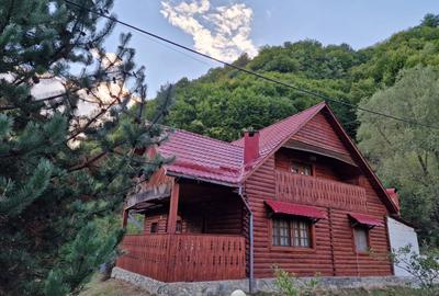 CABANĂ DE VÂNZARE ÎN ROMULI, BISTRIȚA-NĂSĂUD - 5