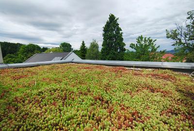 De închiriat | Proprietate premium | ~470–500 mp | Zona Grădina Botanică - 19