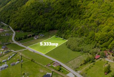 Teren intravilan Plaiul Foii -5.333 mp -acces direct din asfalt - 1