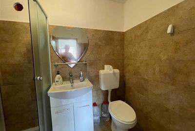 310 mp-Vila, P+M si P+1E, Valea Budului, Bacau - 5