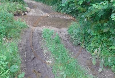 Teren extravilan Pitesti - str. Balotesi!! - 6