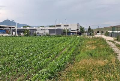 Teren Construcții intravilan de 9500 mp, în Triaj