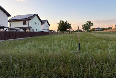 Teren intravilan 1.500 mp de vânzare – Strada Castanului, Tunari - 1