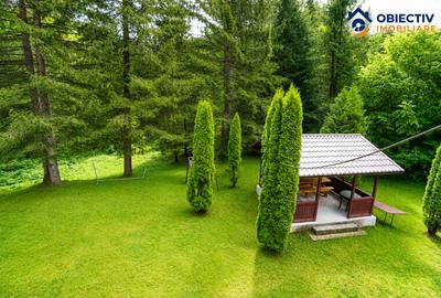 Cabană de Vânzare în Tarcău – Natură, Relaxare și Pescuit la Poartă! - 10