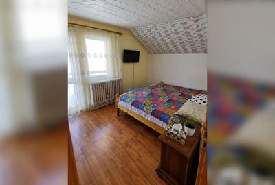 Vilă exclusivă cu ciubăr la munte Teren 8573 mp Cabană 136 mp  Vama - 9
