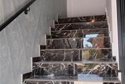 Casa tip insiruite V Lupului, Popas Pacurari - 10