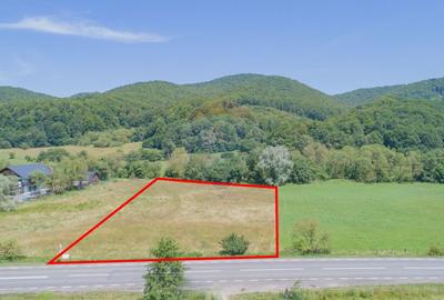 Teren de 4.000 mp cu deschidere la DN73A – Cheile Rasnoavei - 3