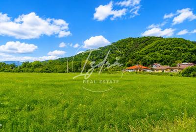 Teren agricol extravilan de 2800 mp, în Tălmaciu
