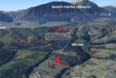 Teren extravilan Poiana Marului 1674mp, inconjurat de padure - 3