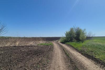 GRADISTEA - Sat Sitaru, teren agricol 11.961mp, ideal investitie - 9