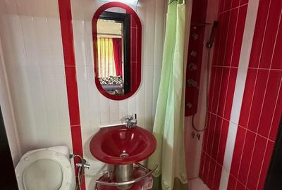 DUPLEX LA INTRARE IN MOSNITA NOUA - 4