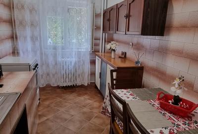 Dristor , Aleea Scolarilor ,2 minute metrou - 8
