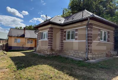 Casă individuală cu 2 camere în Izvoru Crișului