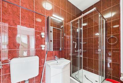 Apartament 2 camere Cotroceni - 10