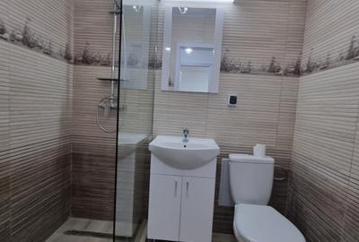 Apartament cu 3 camere de inchiriat in zona Piata Resita - 18
