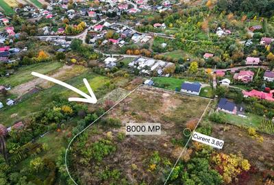 Teren Construcții intravilan de 8000 mp, în Gârlenii de Sus