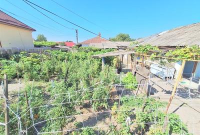 Teren 371 mp curti constructii+casa 5 camere si anexe, zona Izvoare - 20