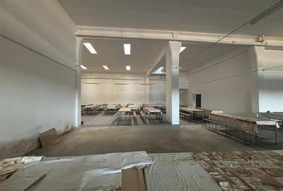 Complex industrial 30130  mp construit - Teren 42558 mp - 10