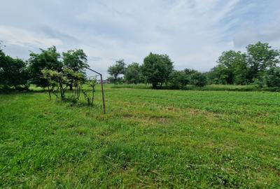 Casa la 5 km de Targu-Neamt - cu iaz si livada matura - gata pentru mutat - 4