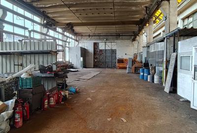 Hala industriala cu curte betonata si acces usor la ocolitoare - 8