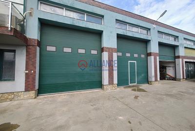 Spațiu comercial, de 520 mp, în Palas