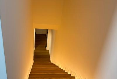 Penthouse 4 camere parc Herastrau Parc Bordei - 15